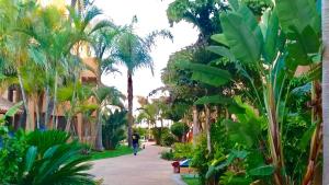 Vonkajšia záhrada v ubytovaní MARBELLA - ALICATE BEACHFRONT Apartment-9