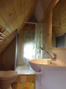 a bathroom with a shower and a sink and a toilet at Pokoje Jola Zakopane in Zakopane
