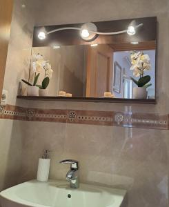 La salle de bains est pourvue d'un lavabo et d'un miroir. dans l'établissement Apartamento nuevo en el centro de Madrid, à Madrid