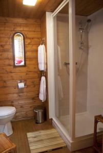 a bathroom with a shower and a toilet at ArtHouse B&B in Oakham