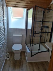 La salle de bains est pourvue de toilettes, d'une douche et d'un lavabo. dans l'établissement Ferienwohnung Elsa, à Enzklösterle