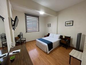 Voodi või voodid majutusasutuse HOTEL TRUEBA toas