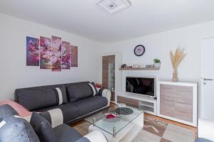 a living room with a couch and a tv at Dobro Došli Vukovar - Self check-in in Vukovar