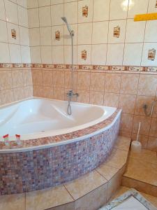 a bathroom with a bath tub with a shower at Flamingo 