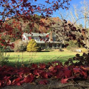 uma casa com folhas vermelhas à frente dela em Historic Seaton Springs Farm B&B - J Seaton King Room & Private Bath em Sevierville