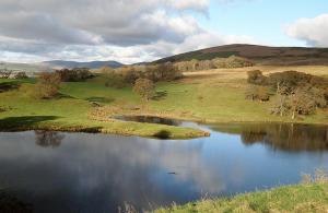 a lake in the middle of a grassy field at Dalgarnock Cottage in Thornhill