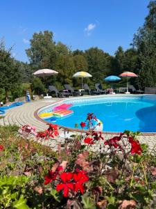 basen z czerwonymi kwiatami i parasolami w obiekcie Forest Paradise w mieście Stružná