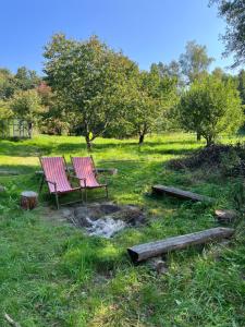 Zahrada ubytování Forest Paradise