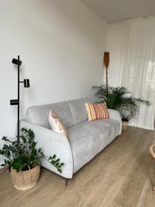 a gray couch in a living room with two plants at Cabine Congé sfeervol appartement dichtbij zee in Ostend