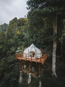 a tent on a wooden deck in a forest at Desa Eko in Munduk