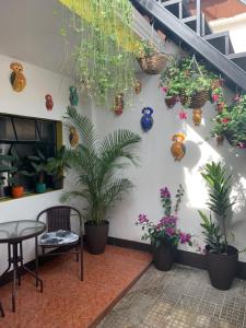 un muro con delle piante in vaso. di One Day Trip Hostel a Antigua Guatemala