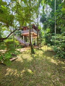 Zahrada ubytování Serenity Villa and Treehouse