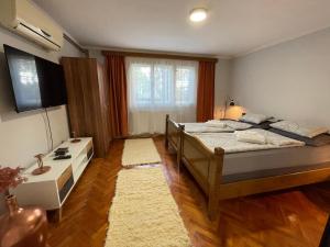 1 dormitorio con 1 cama y TV en Apartman Jelena, en Niš