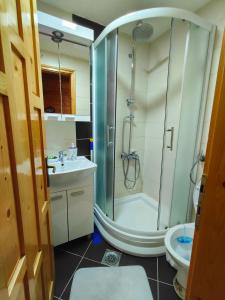 ein Bad mit einer Dusche, einem Waschbecken und einem WC in der Unterkunft Vila Maja in Rudno