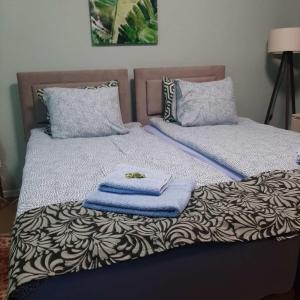 um quarto com 2 camas e toalhas em Apartman Ana em Leskovac