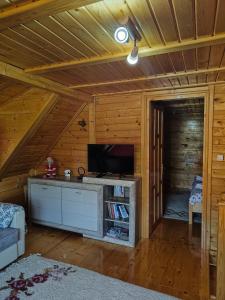 TV a/nebo společenská místnost v ubytování Vila Maja