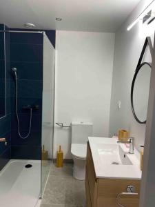 La salle de bains est pourvue de toilettes, d'un lavabo et d'une douche. dans l'établissement Maison mitoyenne / hyper centre, à Lacroix-Saint-Ouen