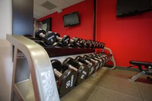Fitness centrum a/nebo fitness zařízení v ubytování Hilton Garden Inn Temple Medical Center