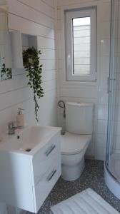 a bathroom with a toilet and a sink and a window at Happyfugu Domki Letniskowe in Międzyzdroje