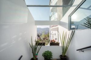 ein Zimmer mit Topfpflanzen auf einem Fenstersims in der Unterkunft Cuarto Yaqui - Seguridad - 10 min de Centros Comerciales y Zona Esmeralda - Empresas bienvenidas in Mexiko-Stadt