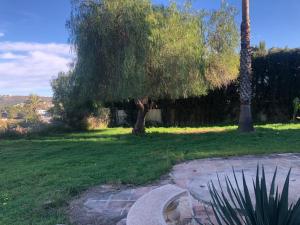 a park with a bench and a tree and grass at Casa tranquila in Teulada