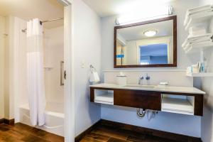 Hampton Inn Brighton Mi的一间浴室