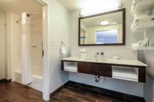 Hampton Inn Brighton Mi的一间浴室