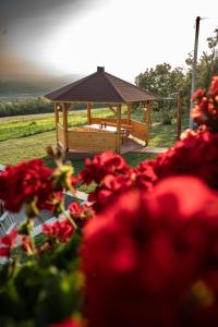 Zahrada ubytování Zlatni Prag - Kraljevo
