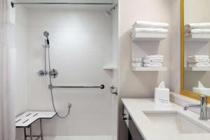 Hampton Inn Champaign Southwest的一间浴室