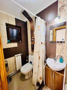 a bathroom with a toilet and a sink at Altheda Living Tiny House in Suceava