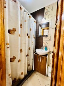 uma casa de banho com um lavatório e uma cortina de chuveiro em Altheda Living Tiny House em Suceava