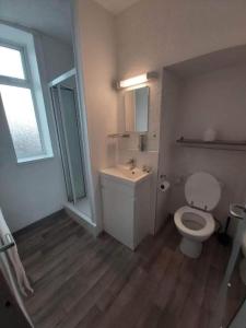 a bathroom with a white toilet and a sink at OYO Ivy Hotel in Skegness