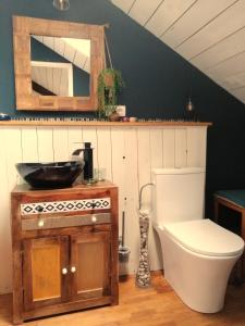 een badkamer met een toilet, een wastafel en een spiegel bij Le Gite Du Breux Face Semois Chassepierre au 2 ème étage in Chassepierre
