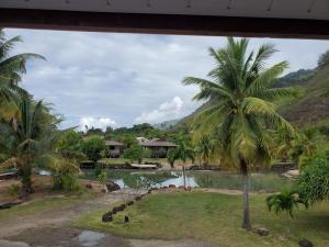 Blick auf einen Fluss mit Palmen und Häusern in der Unterkunft Fare Mihiau 2 in Hauru