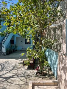 a tree next to a wall with a bench at SUITEs E FLATs MONTE ALTO ARRAIAL DO CABO in Arraial do Cabo
