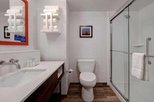 Hampton Inn Crown Point, In的一间浴室