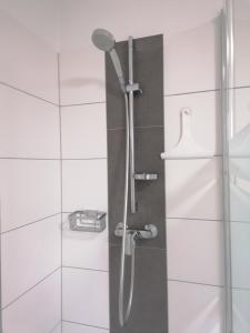 a shower with a shower head in a bathroom at Apartment Anna im Mostviertel in Seitenstetten Markt