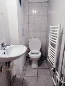 Koupelna v ubytování Apartmán Čajkovského