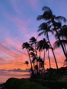 Gallery image of Elegant Studio w/ AC ~ Tropical Westside Napili in Kahana