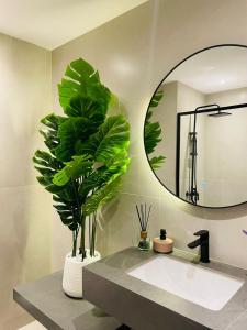 a bathroom with a sink with a mirror and a plant at Premium Studio I Discovery Gardens in Dubai