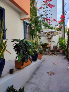 eine Terrasse mit Topfpflanzen und einem Tisch mit einem Sonnenschirm in der Unterkunft Casa Sagrada 282 in Fortaleza