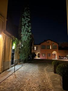 a cobblestone street at night with a tree and buildings at Once Upon a Time in Bologna