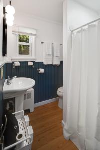 een badkamer met een wastafel, een toilet en een douche bij Birches Motel in Saratoga Springs