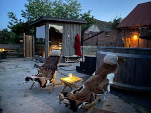 ein paar Stühle neben einem winzigen Haus in der Unterkunft Ferienhof Weitblick in Letschin
