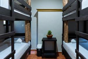 a room with two bunk beds and a plant on a table at Hostal Ixchel - WiFi, Hot Water, AC, in Valladolid Downtown in Valladolid