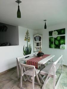 une salle à manger avec une table, des chaises et un cactus dans l'établissement Casa Mexicana - Seguridad, 10min de Centros Comerciales & Zona Esmeralda - Empresas bienvenidas, à Mexico
