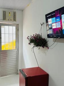 um quarto com televisão e uma planta na parede em Hostel das Flores em Belém