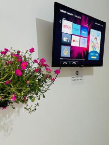 a tv on a wall next to a potted plant at Hostel das Flores in Belém