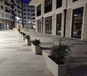 a row of potted plants on a sidewalk in a building at Pine apartment in the center in Trebinje