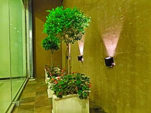 a hallway with several potted plants on a wall at Grand Hotel in Reconquista